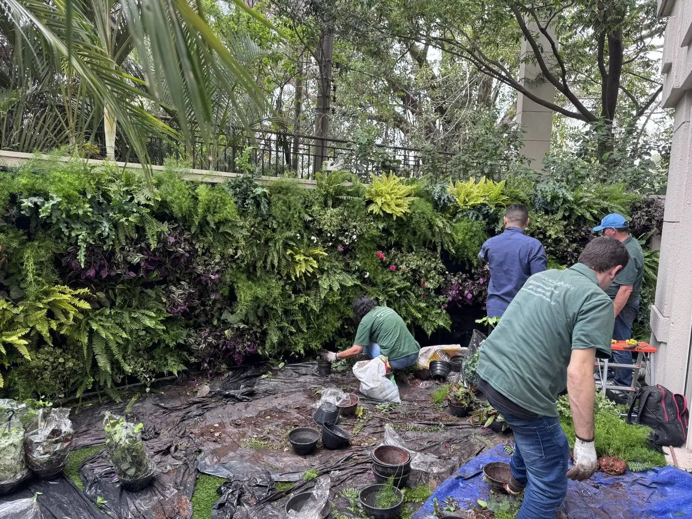 Equipe Verticalmente Verde em projeto de jardim vertical